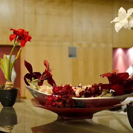 Vip Executive Entrecampos & Conference Hotel Lissabon